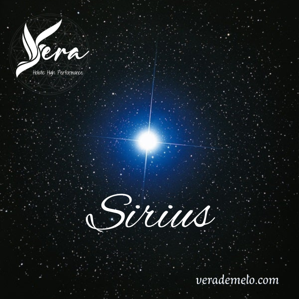 Vera Holistic High Performance 1024x1024