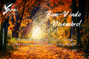 Blog & Artigos @Vera HolisticHealing Novembro Vera HHP 300x200