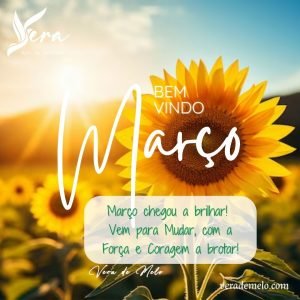 Blog & Artigos Bem Vindo Marco 1 300x300