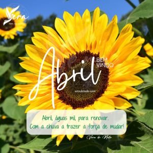 Blog & Artigos Instagram Post Bem Vindo Mes 300x300